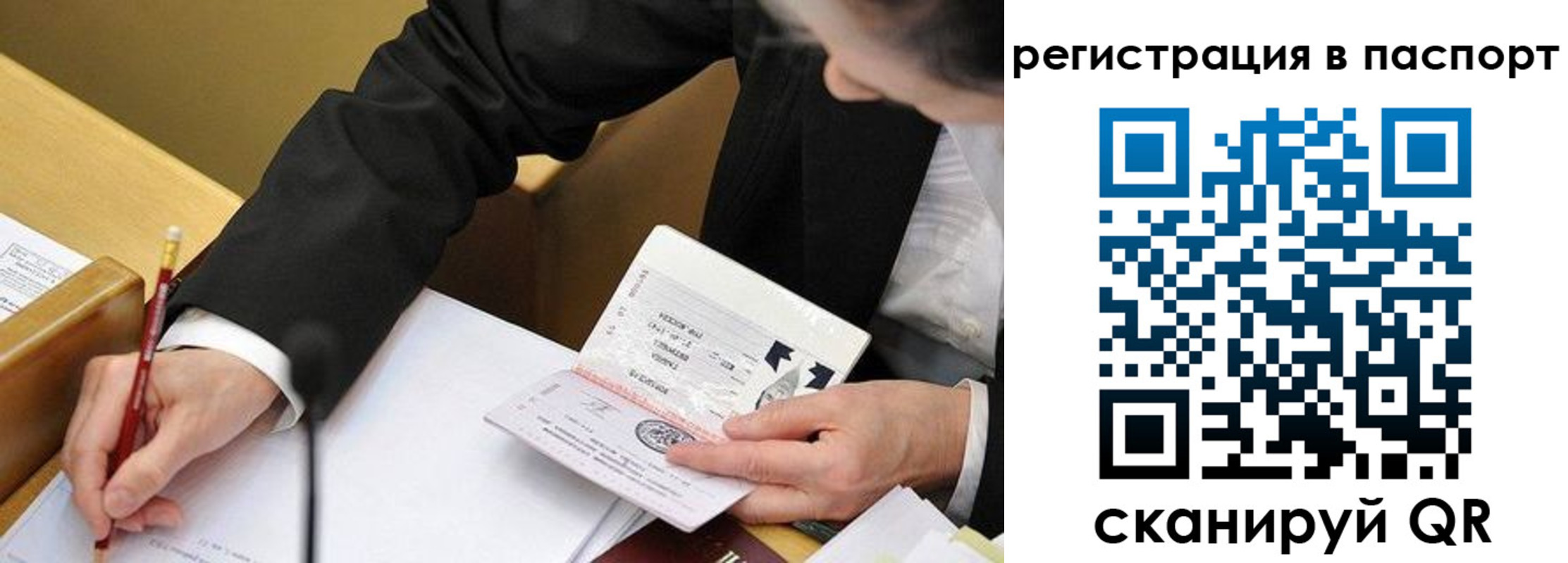 прописка поиск в Кингисеппе
